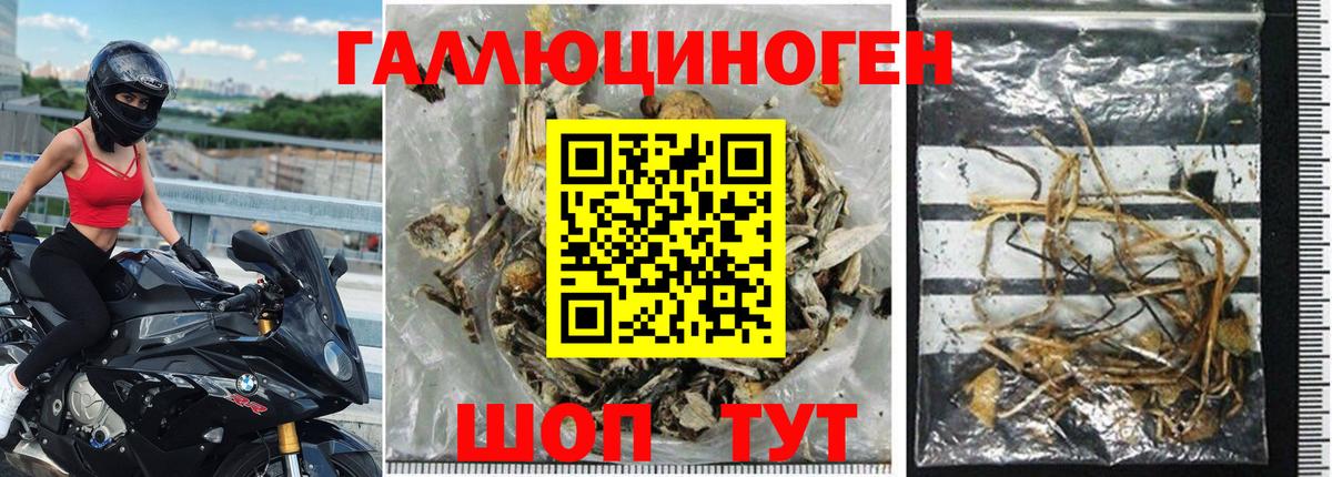 Галлюциногенные грибы Magic Shrooms Советский