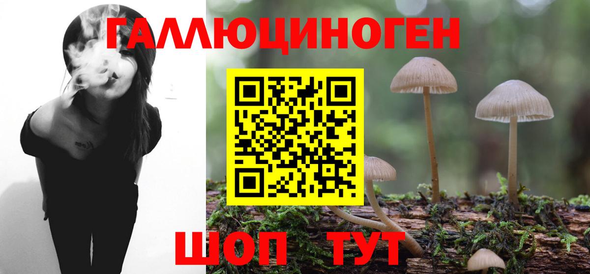 Советский  Галлюциногенные грибы Psilocybine cubensis  Вход с VPN 